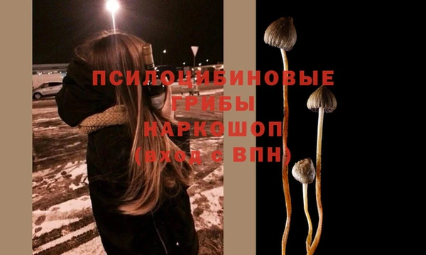 хмурый Волоколамск