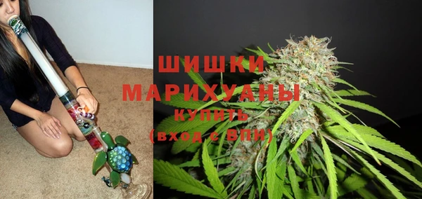 хмурый Волоколамск