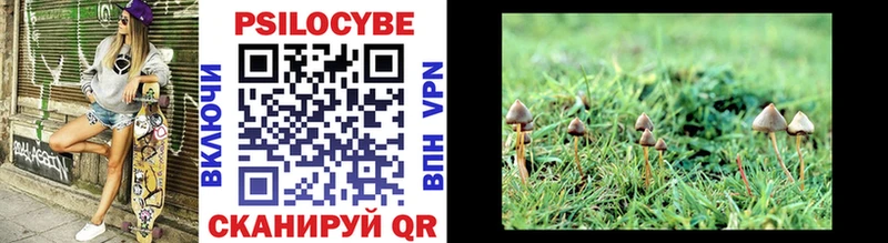 дарнет шоп  Печора  даркнет формула  Псилоцибиновые грибы MAGIC MUSHROOMS 
